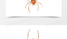 蜘蛛动漫,穿梭时空的奇幻冒险之旅